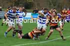 Tynedale v Harrogate, Tynedale Park, Corbridge.   Photo: David T. Hewitson/Sports for All Pics